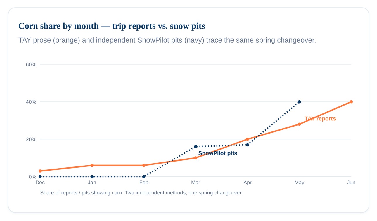 Chart: Corn share by month — TAY trip reports vs. SnowPilot snow pits. Two independent methods, one spring changeover.