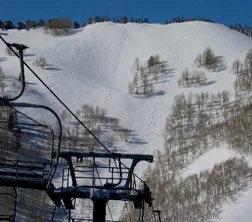 tay_Solitude_Honeycomb_Canyon_Return_Chair__1_29_2009_IMG_5169.JPG