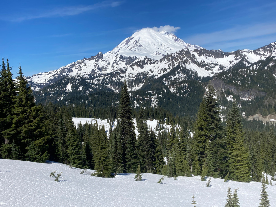 ranier