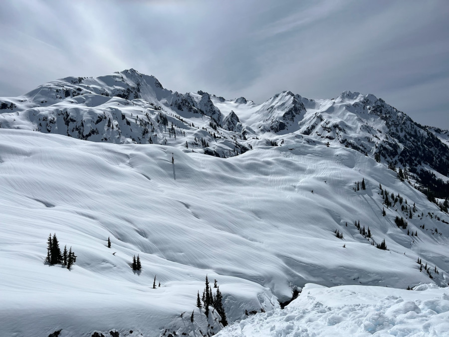 B69F82A0-26B5-4F88-BFC6-C181F105D9E3 B69F82A0-26B5-4F88-BFC6-C181F105D9E3