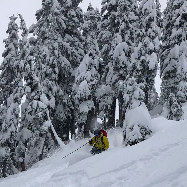 3a7c8ad7 27a5 4b5c b201 1d6cd49b5032