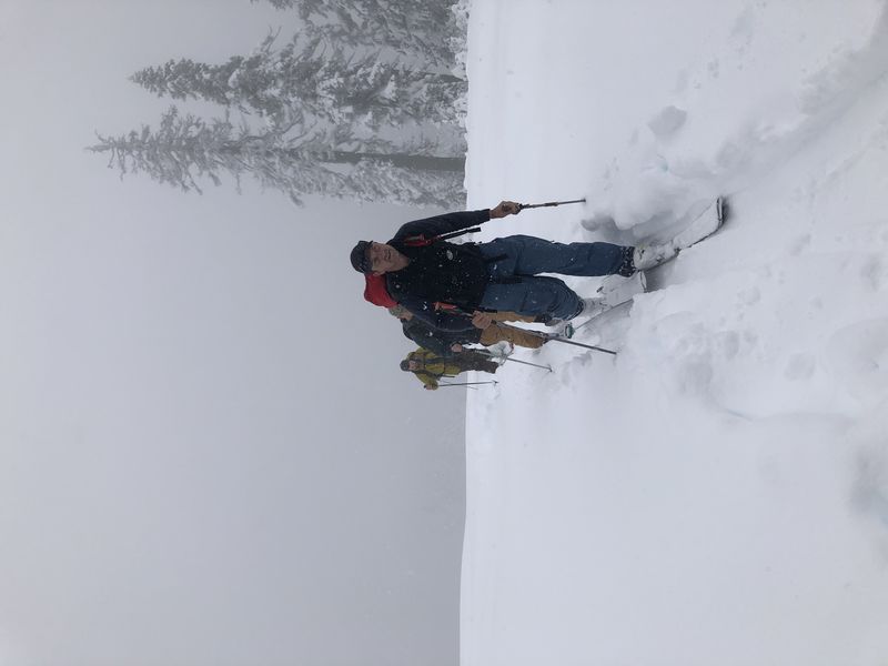 3a7c8ad7 27a5 4b5c b201 1d6cd49b5032