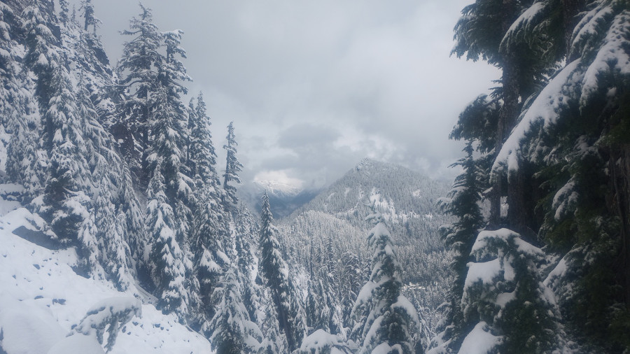 IMG_20251012_140521697 IMG_20251012_140521697