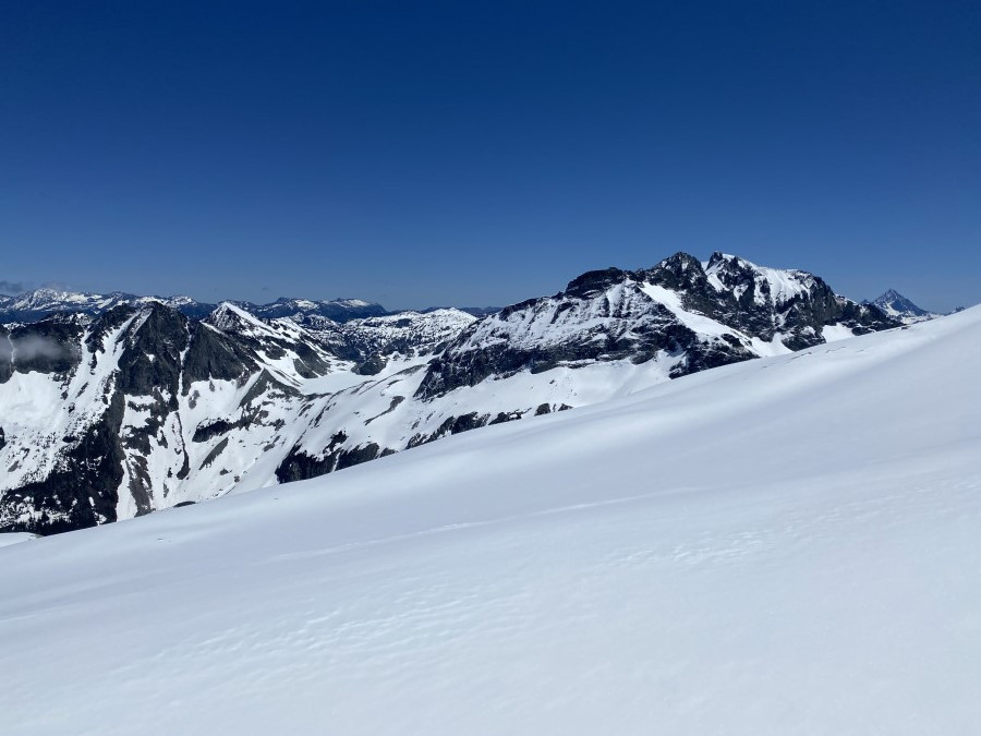 IMG_7198-1 IMG_7198-1