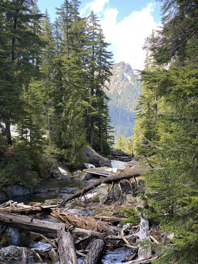 IMG_7230-1 IMG_7230-1