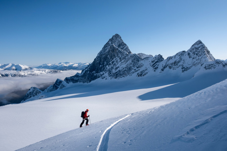 SirAvalanche SirAvalanche